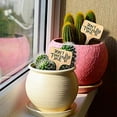 thumbnail image 4 of Étiquettes de Jardin en Bambou Étiquettes de Jardin en Bambou Étiquettes de Jardin en Bambou Étiquettes de Jardin en Bambou Étiquettes de Jardin en Bambou Étiquettes de Jardin, 4 of 9