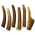thumbnail image 6 of WhiteTail Naturals Whole Antler Dog Chews (6 Pack) Deer Antlers for Smaller Dogs, 6 of 7