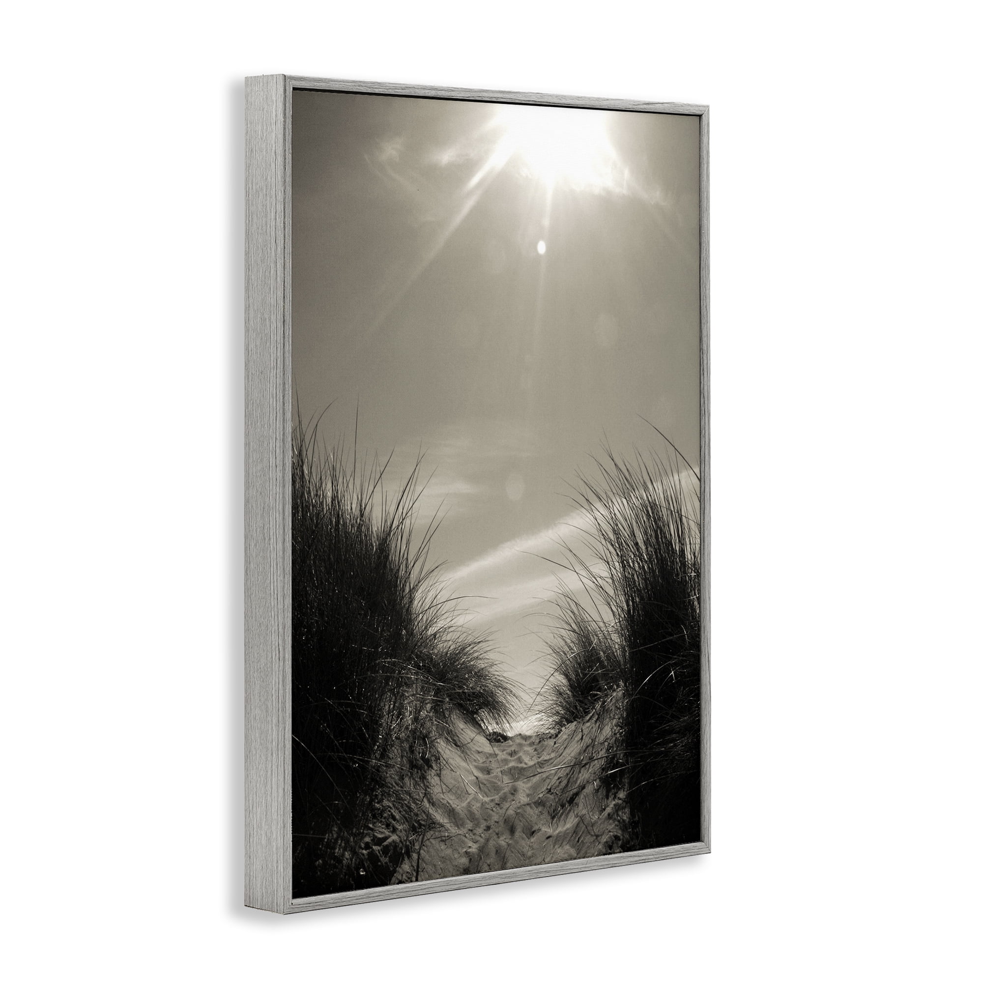 Stupell Industries Dune Valley Landscape Coastal Photography Gray Framed Art Print Wall Art, 12 x 18