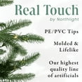 thumbnail image 5 of Northlight 9' Pre-Lit Full Minnesota Balsam Fir Artificial Christmas Tree - Clear LED Lights, 5 of 5