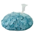 thumbnail image 2 of SEA GLASS COLD BLUE 2LB (Pack of 1), 2 of 9