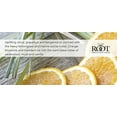 thumbnail image 5 of Root Candles Honeycomb Veriglass Scented Beeswax Blend Candle, Large, Tangerine Lemongrass, 5 of 5