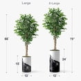 thumbnail image 2 of Artificial Tree in Contemporary Planter, Fake Ficus Silk Tree for Indoor and Outdoor Home Decoration - 66" Overall Tall (Plant Pot Plus Tree), 2 of 5