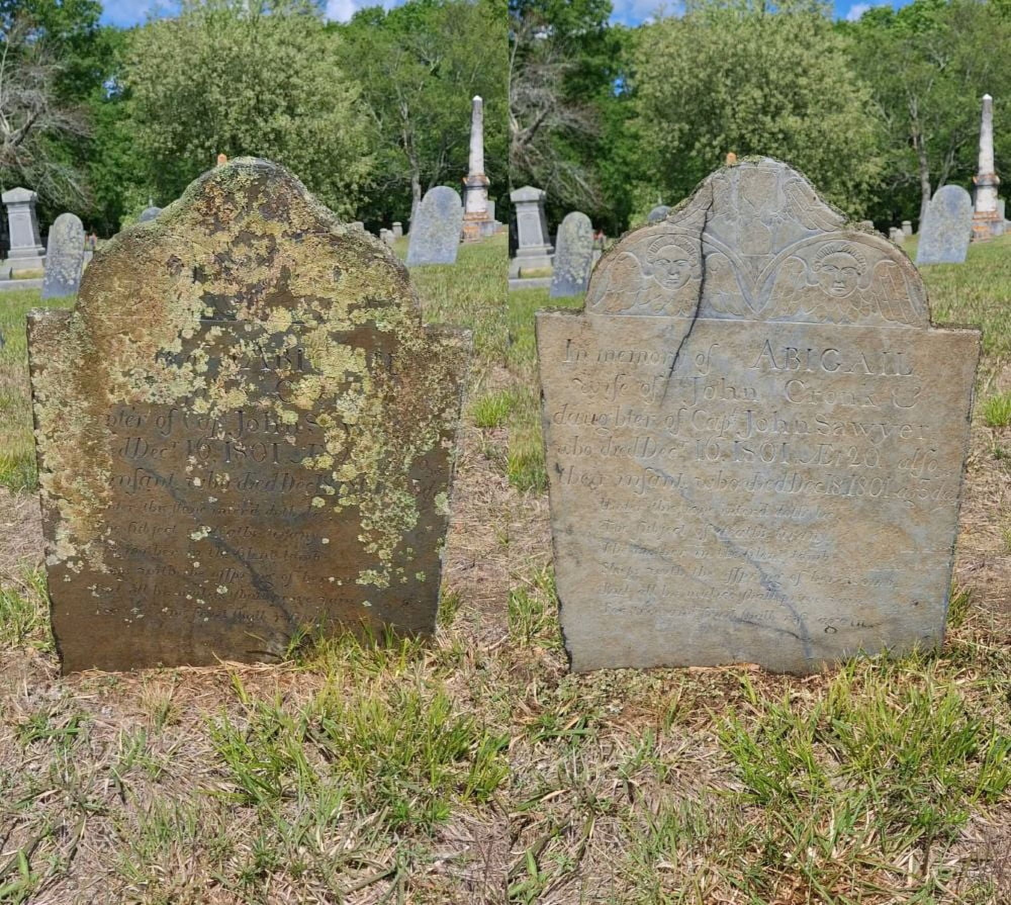 Endurance Restoration: Gravestone & Monument Cleaning - Essential Set