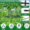 thumbnail image 2 of Lolsea 90*70*45" Updated U-Shape Cucumber Trellis, Stainless Steel Outdoor Plant Garden Trellis with Climbing Net, 2 of 6