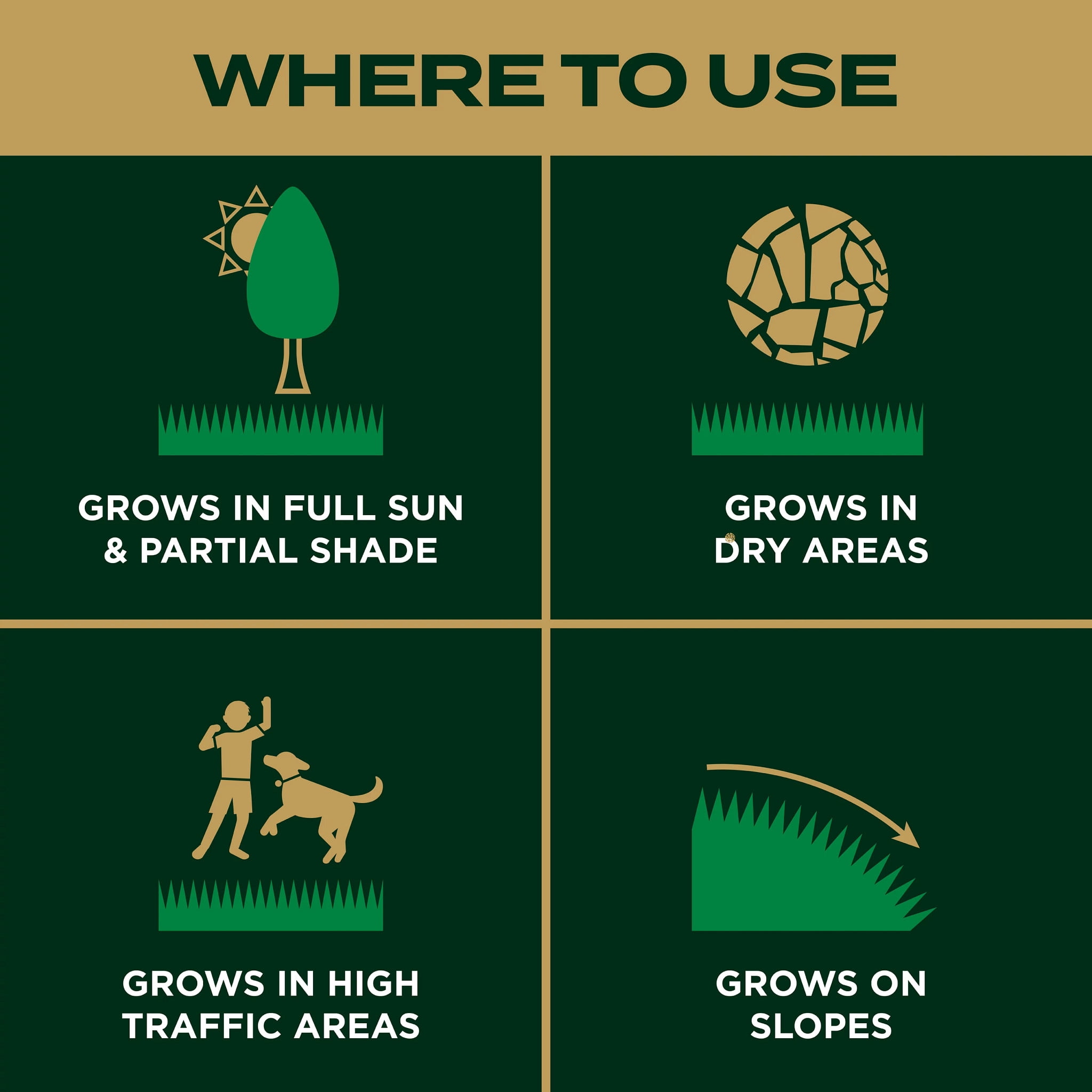 Scotts® EZ Seed® Patch and Repair Zoysia Grass, Mulch, Seed and Fertilizer, 3.75 lbs.