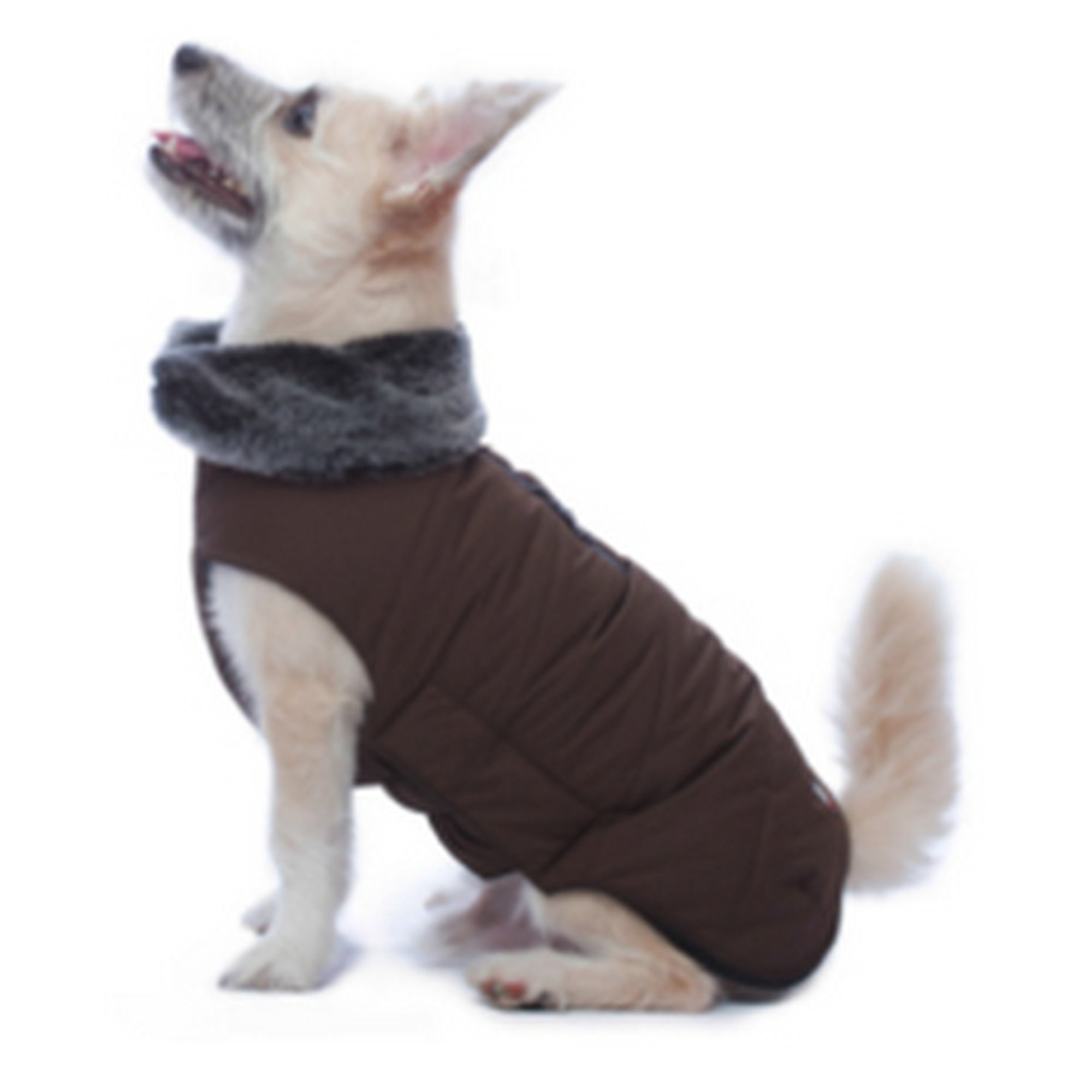 manteau imperméable pour petit chien
