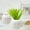 White, variant on Plastic Pumpkin Shaped Flower Pot Decorative Vase Halloween Thanksgiving Fall Home Decor Orange 1 Pack