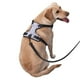 thumbnail image 2 of Fotbe Purple Butterfly Arnés para Perro con Estampado –Chaleco Ajustable Acolchado con Asa de Control para Perros Grandes-Large, 2 of 6