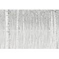 thumbnail image 2 of Simone, Aglioni 14x11 Gold Ornate Wood Framed with Double Matting Museum Art Print Titled - Trees, 2 of 4