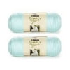 Bulk Buy: Yarn Solids (2-pack) (Soft Green), 2 skeins of Caron simply soft yarn. 12 ounces/630yds (340.2g/576m) per 2-pk By Caron Simply Soft