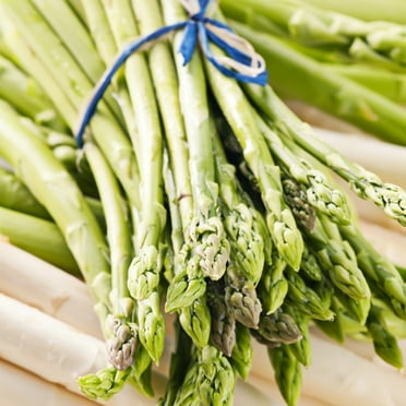 Van Zyverden GMO Free Asparagus Jersey Giant 12 Plant Roots Green Partial Shade Deer Resistant 2 lb