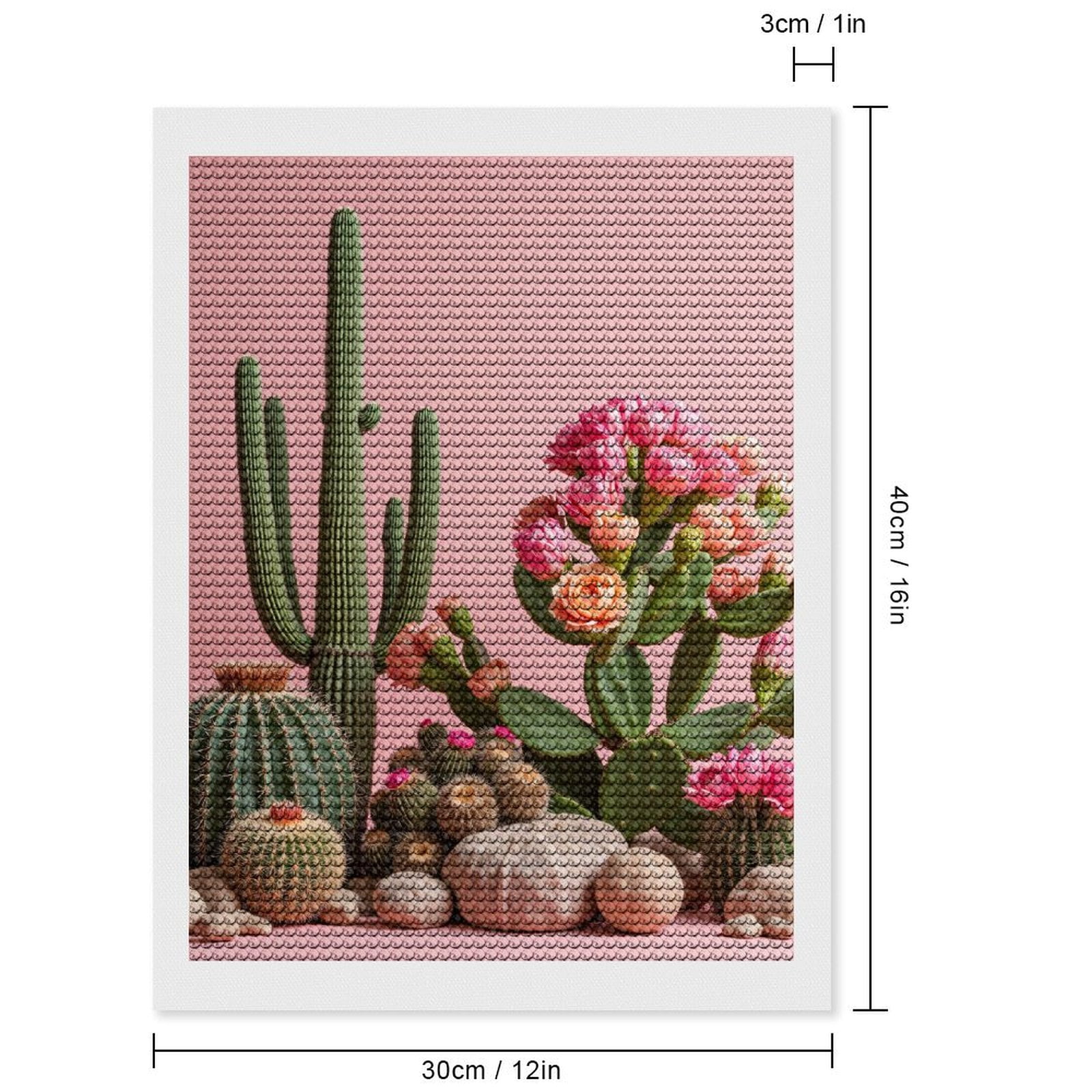 Diamond Art Kit for Adults, Pink Cactus Blossoms Desert Rocks Diamond Painting for Adults Beginners, 5D DIY Diamond Art Painting Kits, Colorful Diamond Painting Craft for Home Decor 12x16