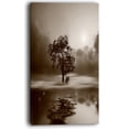 thumbnail image 3 of Designart - Alone Tree on Island in Sepia - Extra Large Wall Art Landscape, 3 of 5