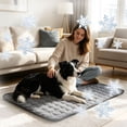 thumbnail image 4 of Self Cooling Pet Mat Ice Silk Cat Dog Cooling Cushion Washable Foldable Summer Cool Pad Breathable Mesh Back Heat Relief Sleeping Blanket for Indoor Car Travel Outdoor, 4 of 6
