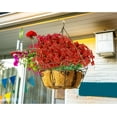 thumbnail image 3 of 20 Bundles Artificial Flowers Outdoor UV Resistant Faux Flowers No Fade Fake Plastic Plants Garden Porch Window Box Decorating (Pure White) A, 3 of 5