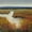Unframed, variant on Art.com Marsh Land I Art Print by Tim O'toole, 24" x 24"