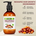 thumbnail image 3 of Batana Oil Shampoo and Conditioner Set, Hair Care set with Rosemary and Argan Oil, 10.56 Fl Oz, 3 of 4
