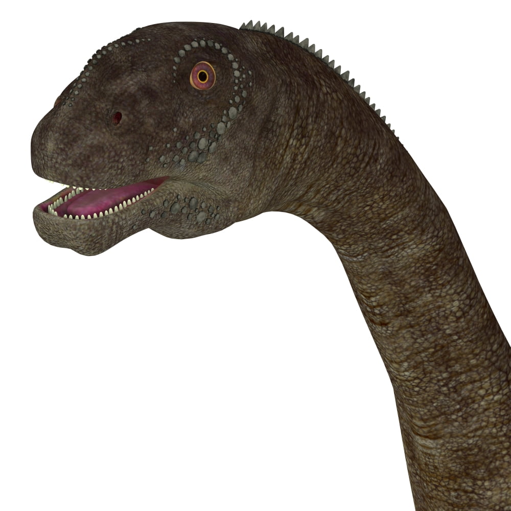 Malawisaurus dinosaur head Poster Print by Corey FordStocktrek Images - Walmart.com