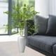thumbnail image 4 of Planta Artificial Verde de Simulación, 4 of 6