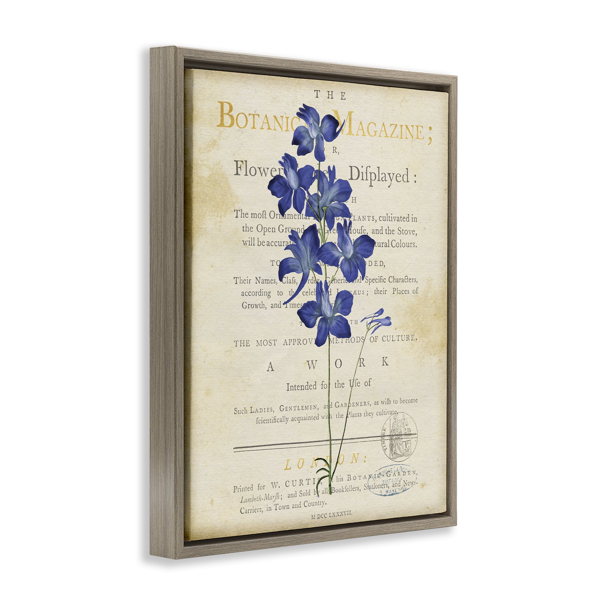 Stupell Industries Natural Botanic Garden Flower Brown Framed Floater Canvas Wall Art, design by Susan Arnot