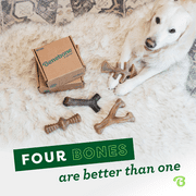 Benebone Medium 4-Pack Dog Chew Toys for Aggressive Chewers, 60lbs and Under