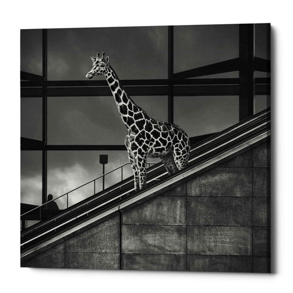 Epic Graffiti  "Downstairs" by Dariusz Klimczak, Giclee Canvas Wall Art, 12"x12" 18" x 18"
