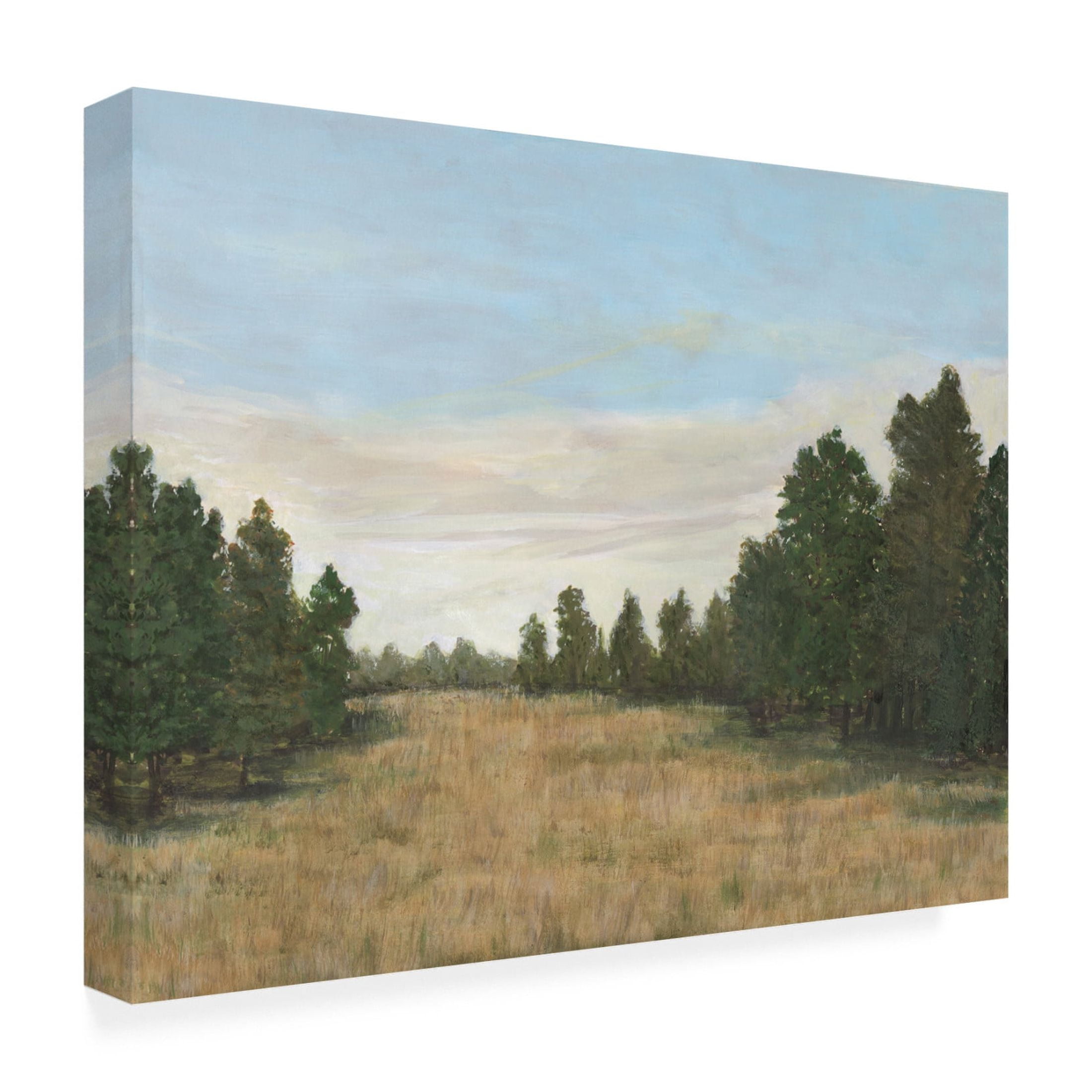 Trademark Fine Art Michael Willett  Countryside Clearing I Canvas Wall Art