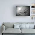 thumbnail image 3 of Trademark Fine Art HALIT KARTAL Love In The Air Canvas Wall Art, 3 of 4
