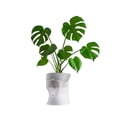 thumbnail image 4 of Brent MidCentury Modern Indoor Crushed Can Eco-Friendly 3D Printed Planter with Drainage, Chalk, 4 of 6