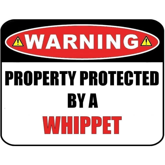 Funny Whippet Dog Sign – Laminated 11.5″ x 9″ Wall Decor