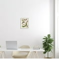 thumbnail image 2 of Stupell Industries Mixed Insects Moth Latin Studies Graphic Art White Framed Art Print Wall Art, Design by World Art Group, 2 of 7