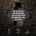 thumbnail image 4 of Anomaly Haircare Dry Shampoo Spray with Tea Tree & Rice Starch for Oily Hair 5 oz, 4 of 6