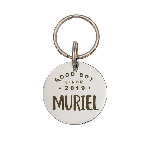 Anavia Stainless Steel Double Sided Round Name - Birth Year & Good Girl Boy Engraved Dog & Cat ID Tag, Silver, M