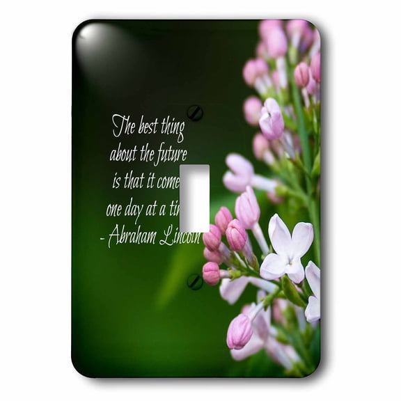 3dRose, Abraham Lincoln quote. The best thing about the future. Lilac flower, single toggle switch