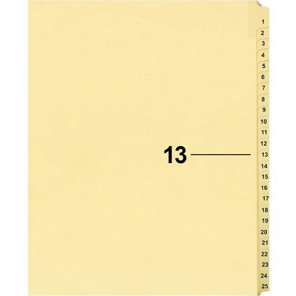 Davisgroup B1125-13 Index Numérique Individuel pour Contentieux 13 - 1 Chacun