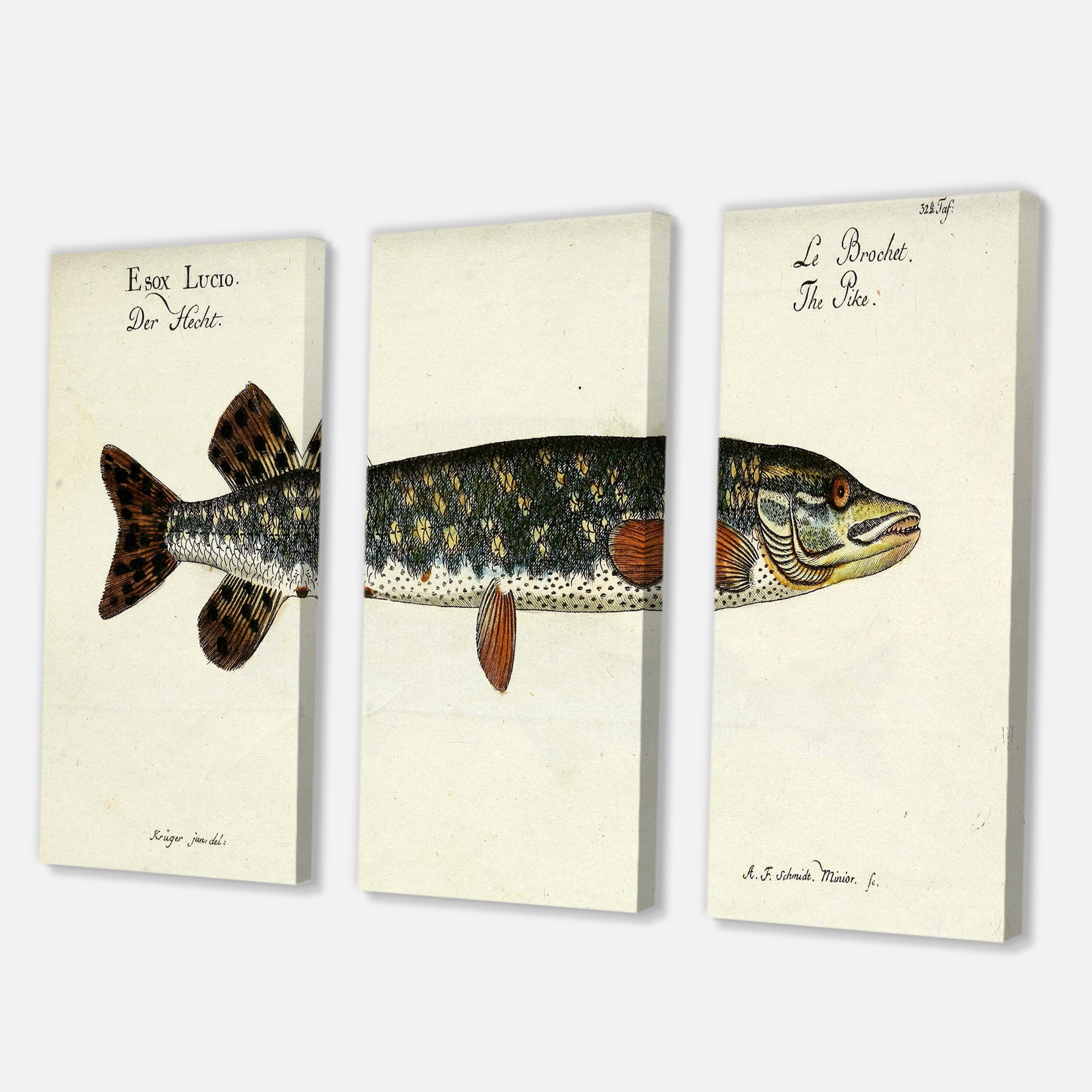 Designart ' Portrait Of A Green Fish On Beige ' Nautical & Coastal Canvas Wall Art Print