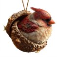 thumbnail image 2 of Adornos de animales de avellana de resina | Zorro, búho, conejo y erizo durmiendo | Decoración artesanal para árboles de Navidad para amantes de la naturaleza | Paquete de 3, 2 of 9