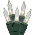 thumbnail image 1 of Vickerman X9BK318LED 35Lt LED Orange Dura Light, Black Wire End Connecting Set - 9 in. Spacing, 1 of 1