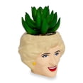 thumbnail image 2 of Minimoleta Toynk The Golden Girls de cerámica rosa con suculentas, 2 of 9