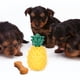 thumbnail image 4 of Juguete interactivo para masticar con forma de piña, juguete de entrenamiento para perros, suministros para mascotas, 4 of 7
