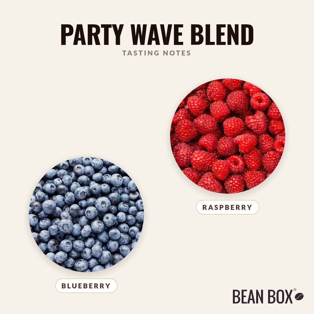 Party Wave Blend - Roasted by Drink Coffee Do Stuff - Whole Bean Coffee - 2lb Bag