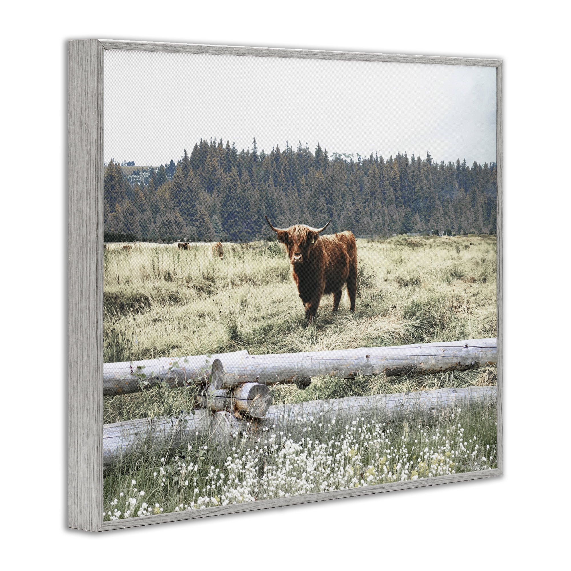 Stupell Industries Cattle Overlooking Fence Animals & Insects Photography Gray Framed Art Print Wall Art, 14 x 11