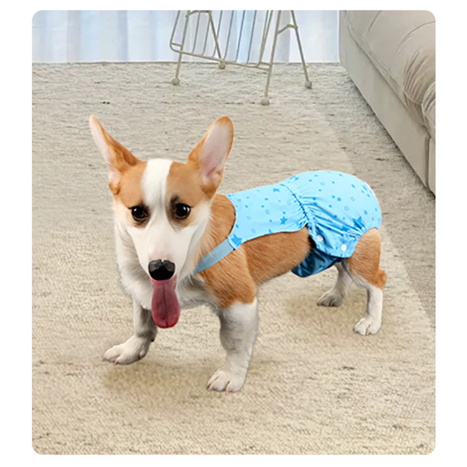 Nallwabiu Washable Dog Diapers Female Large Size,Reusable Highly Absorbent Doggie Diaper, Sky Blue Cloth Doggy Diaper for Heat Period Incontinence Management