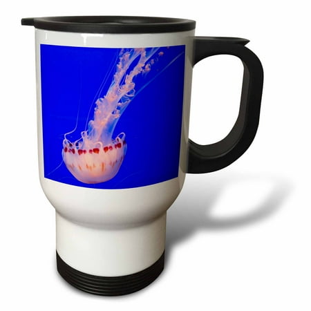 3drose, Monterey Bay Aquarium - Jellyfish, 14oz Stainless Steel Travel Mug