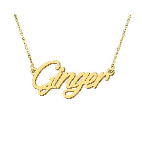 HUAN XUN 18k Gold Plated Ginger Name Necklace Stainless Steel Nameplate Necklaces for Womens Mens Mother Day Christmas Jewelry Gift