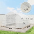 thumbnail image 5 of Greenhouse, 5 of 7