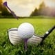 thumbnail image 5 of 10PCS Golfs Glass Type Non Limiting Nails Plastic Holders Low Resistance Accessories Non Limiting, 5 of 6