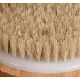 thumbnail image 3 of Dry Body Brush, Shower Brush, Wet and Dry Brush, Dry Brush for Cellulite and Lymphatic Vessels, Soft and Hard Hair Body Scrub, Suitable for All Skin Types, 3 of 4
