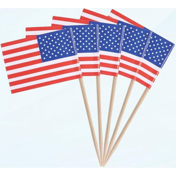 American Flag Picks Mini Us Toothpick Flag Banner on Sticks for Appetizer 100pcs, Cocktail Stick Flag